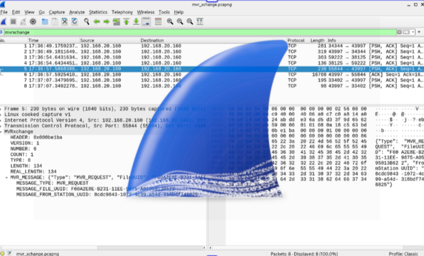 Screenshot 2025-08-04 094229